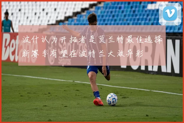 波什认为开拓者是莫兰特最佳选择新赛季有望在波特兰大放异彩
